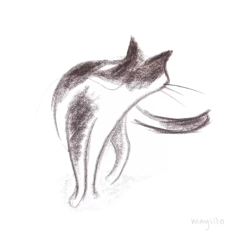 Cat looking back sketch watercolor pencil