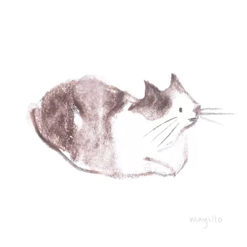 Cat sketch watercolor pencil