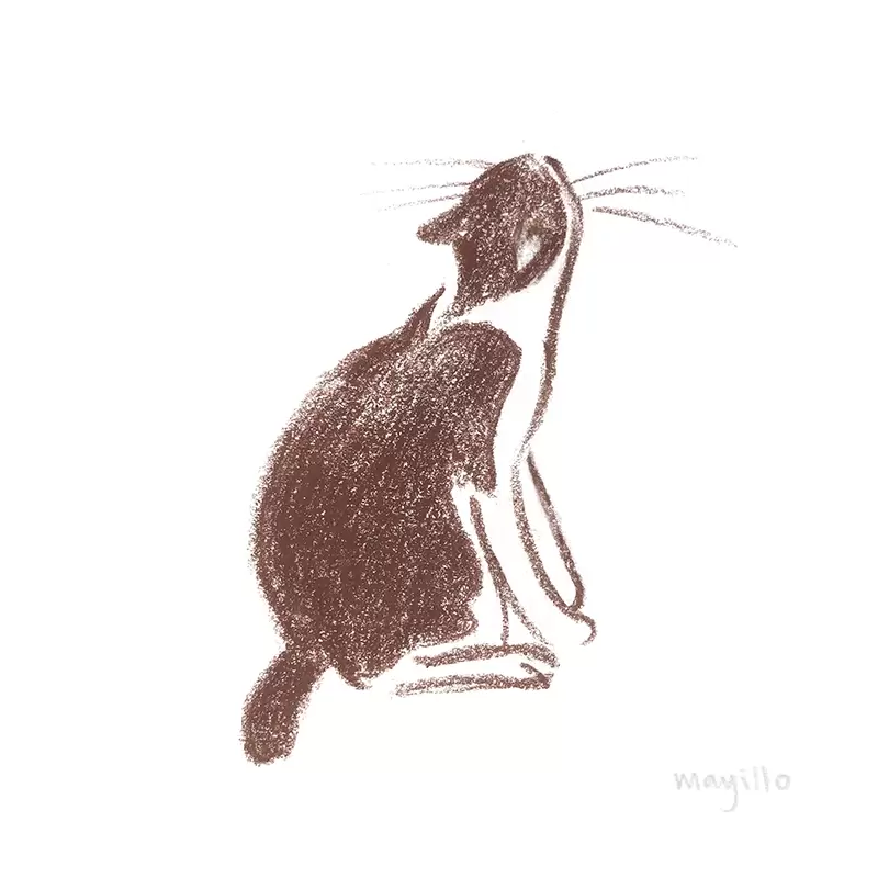 Crayon sketch cat looking up