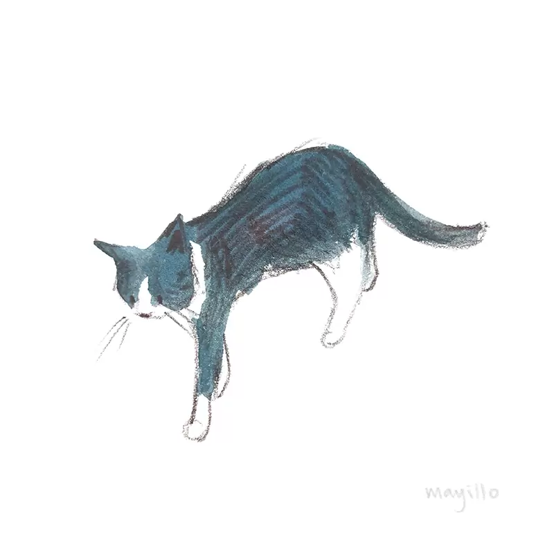 Cat walking sketch watercolor marker and color pencil