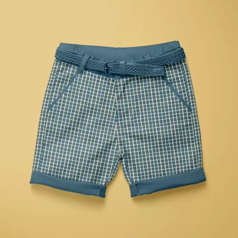 Plaid shorts in teal